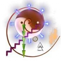 Deep Applied Trances Training